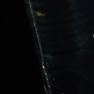 Meet your Posher, Fabian gil